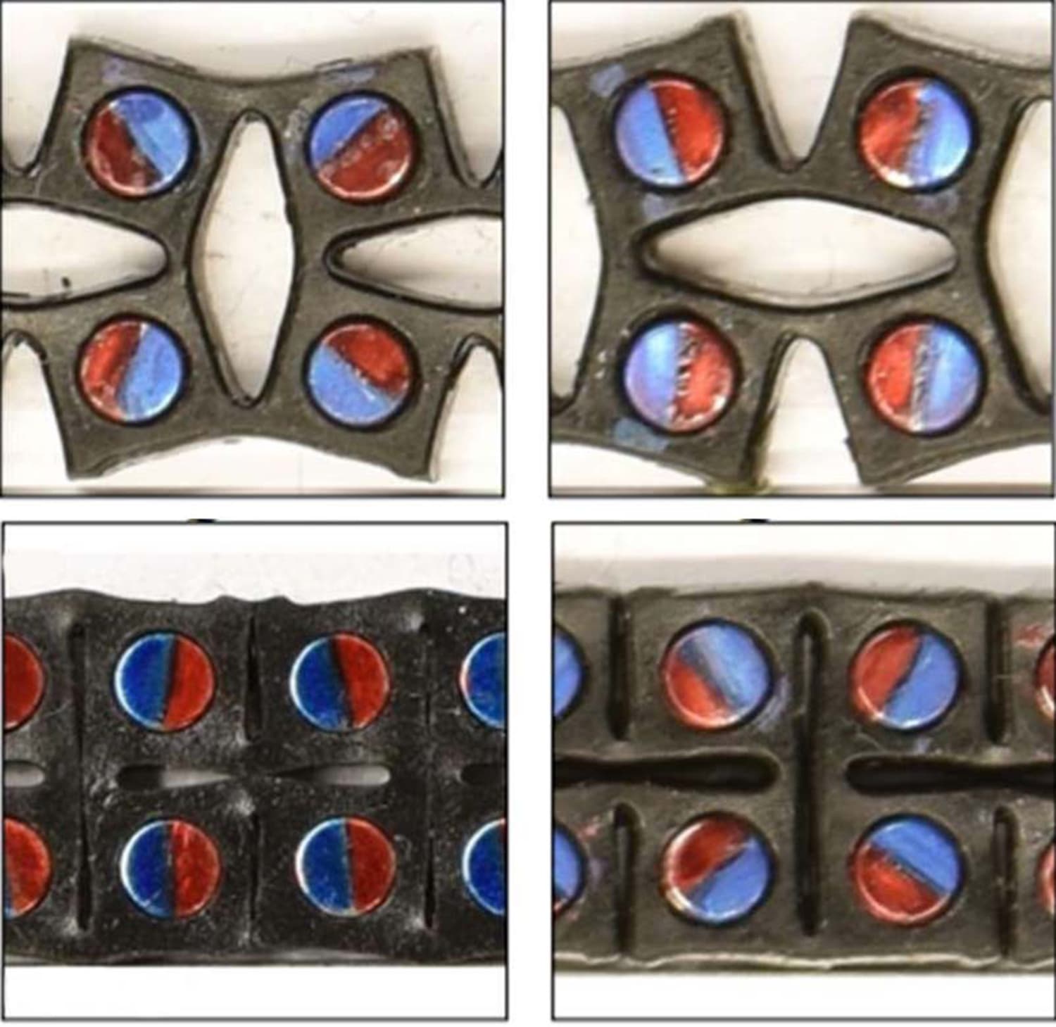 The elastic material with embedded magnets whose poles are color-coded red and blue. Orienting the magnets in different directions changes the metamaterial’s response. (Courtesy UMass Amherst)