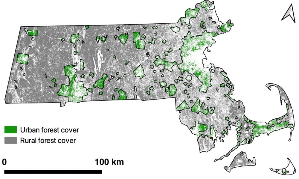 Urban forest cover in Massachusetts. (Image courtesy Sarah Garvey)