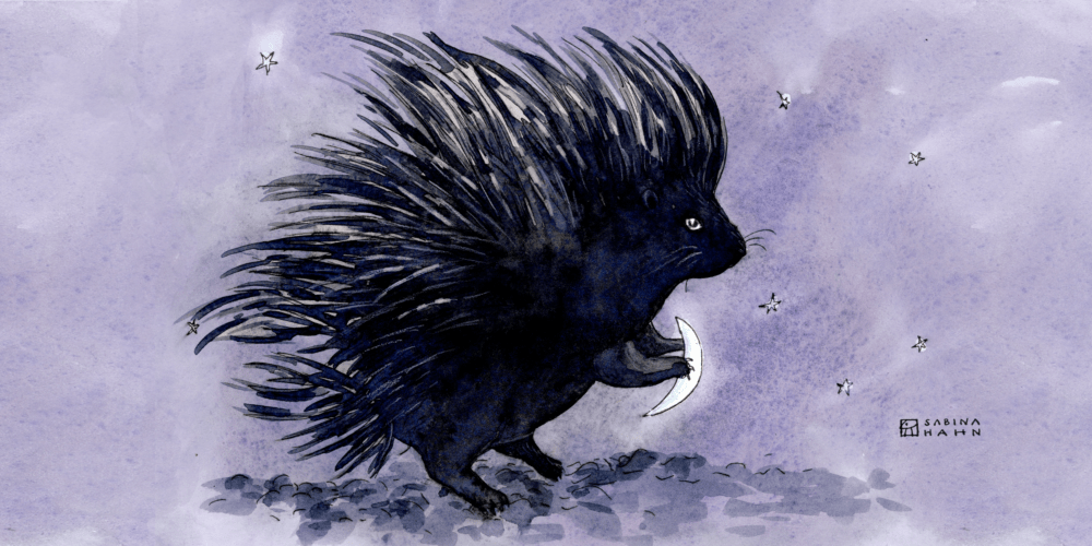  Porcupine’s Plan feat. Jacob Laval 
