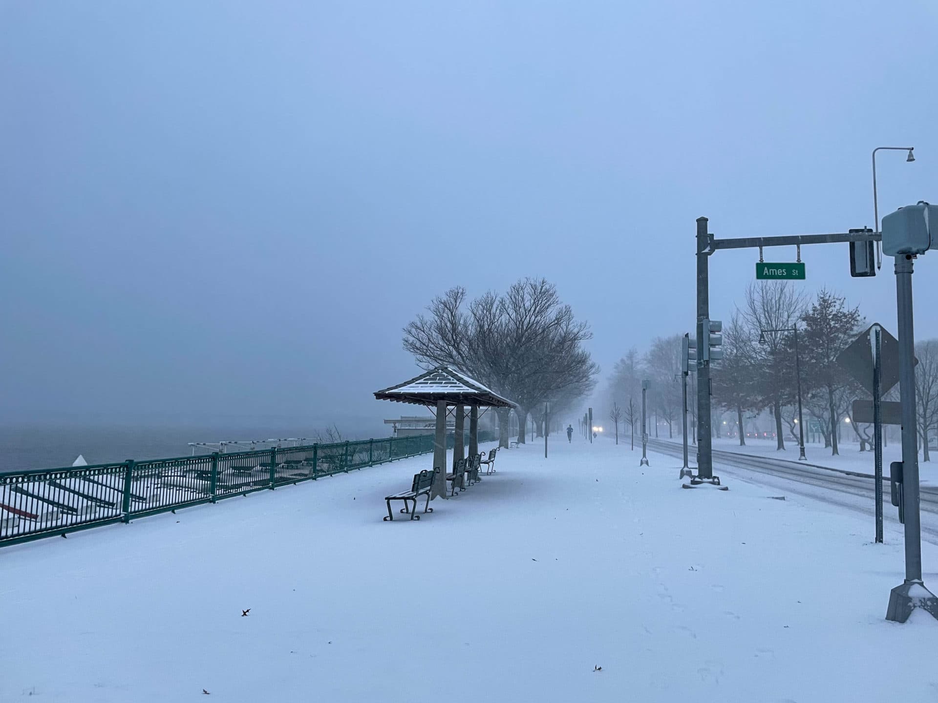 A runner braves the falling snow Friday morning along the Charles River bike path in Cambridge on Feb. 25. (Steven Davy/WBUR)