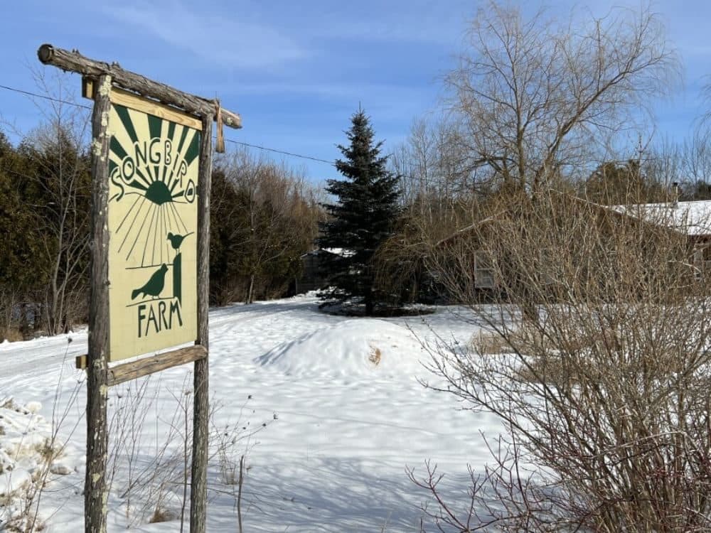 The sign outside Songbird Farm, an organic farm in Unity that is the latest agricultural operation in Maine to be impacted by contamination with “forever chemicals” known as PFAS, potentially linked to sludge used as fertilizer decades ago. (Kevin Miller/Maine Public)