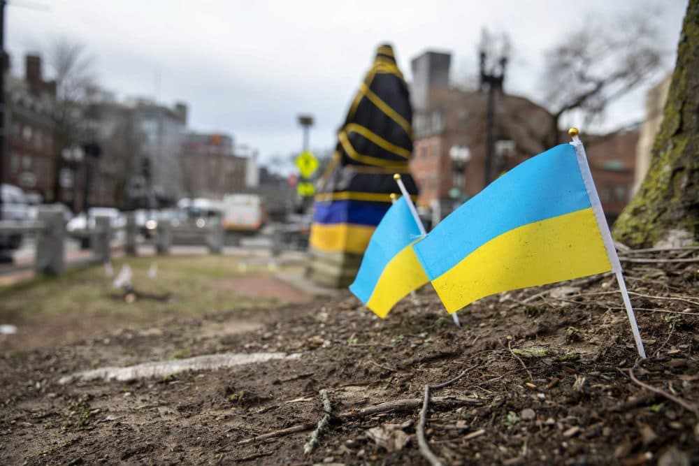 Ukrainian flags planted in the trees by the statue of Charles Sumner in Harvard Square. (Robin Lubbock/WBUR)