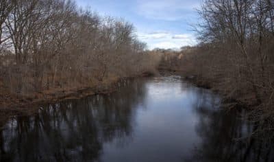 Advocates celebrate Neponset River's new "Superfund" status