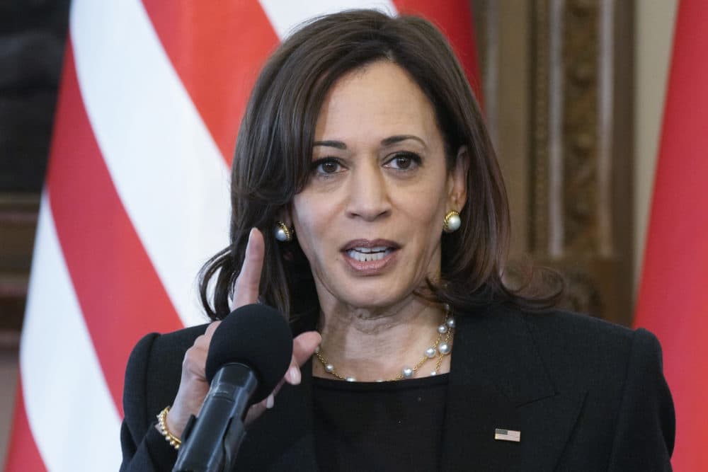 U.S. Vice President Kamala Harris speaks during a joint press conference with Poland's President Andrzej Duda on the occasion of their meeting at Belwelder Palace, in Warsaw, Poland, March 10, 2022. (Czarek Sokolowski/AP)