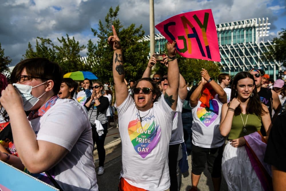 Members and supporters of the LGBTQ community attend the &quot;Say Gay Anyway&quot; rally in Miami Beach, Florida on March 13, 2022. (Photo by CHANDAN KHANNA/AFP via Getty Images)