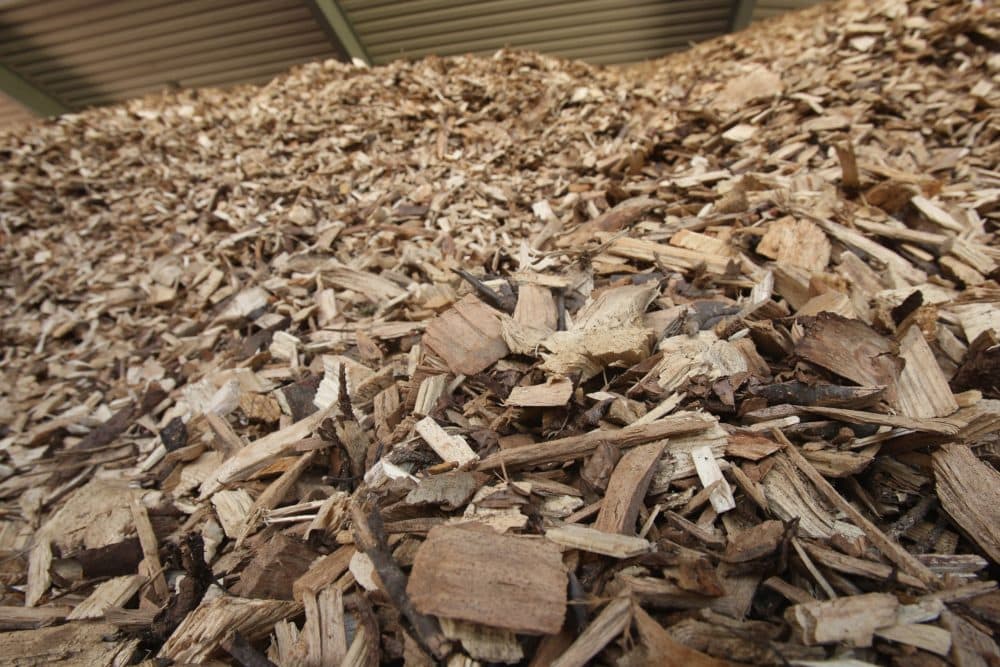 Dried wood chips lie in a pile at a bioenergy plant in 2007 in Germany. (Sean Gallup/Getty Images)