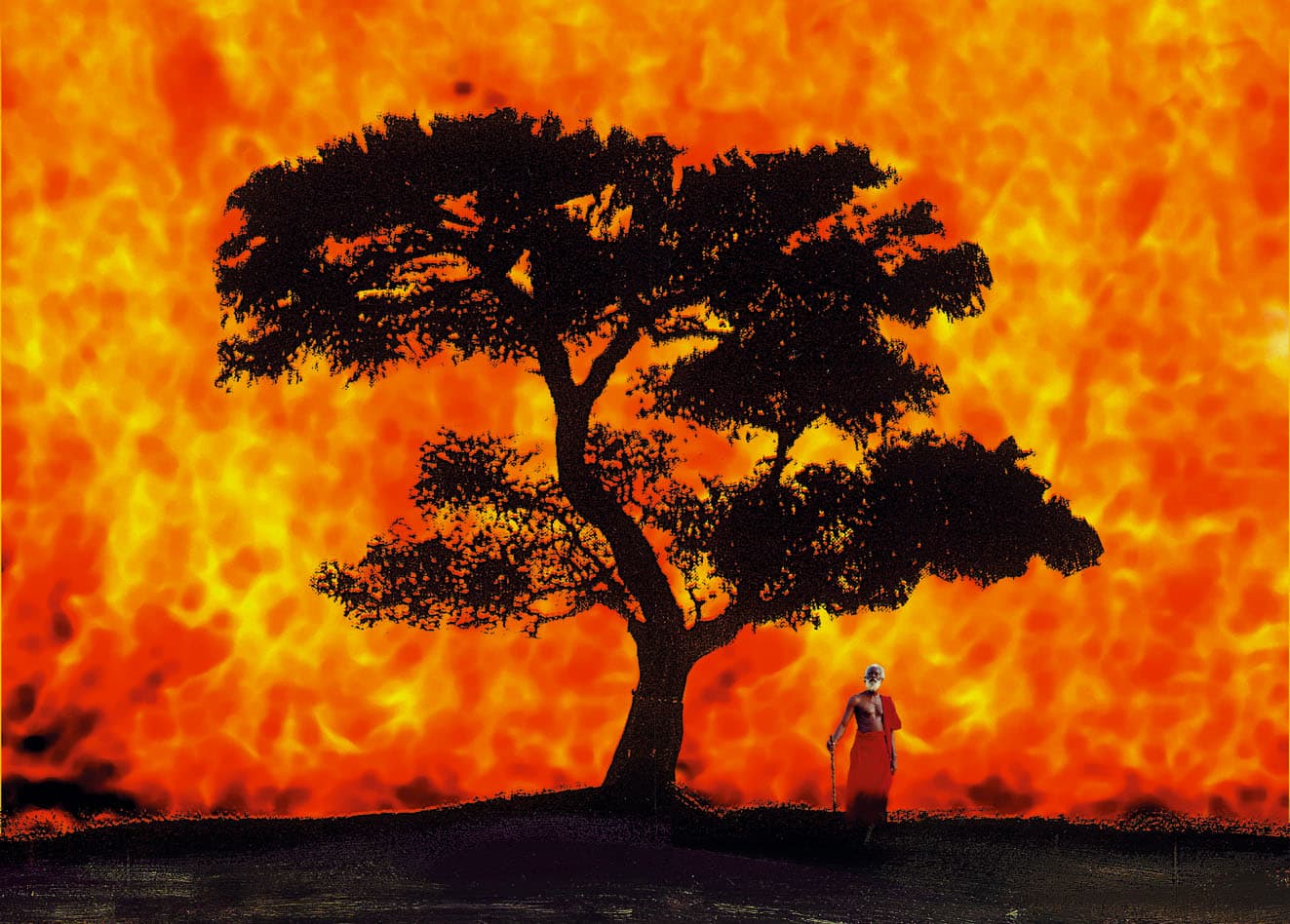 A still from Flora Gomes' "Tree of Blood." (Courtesy Harvard Film Archive)