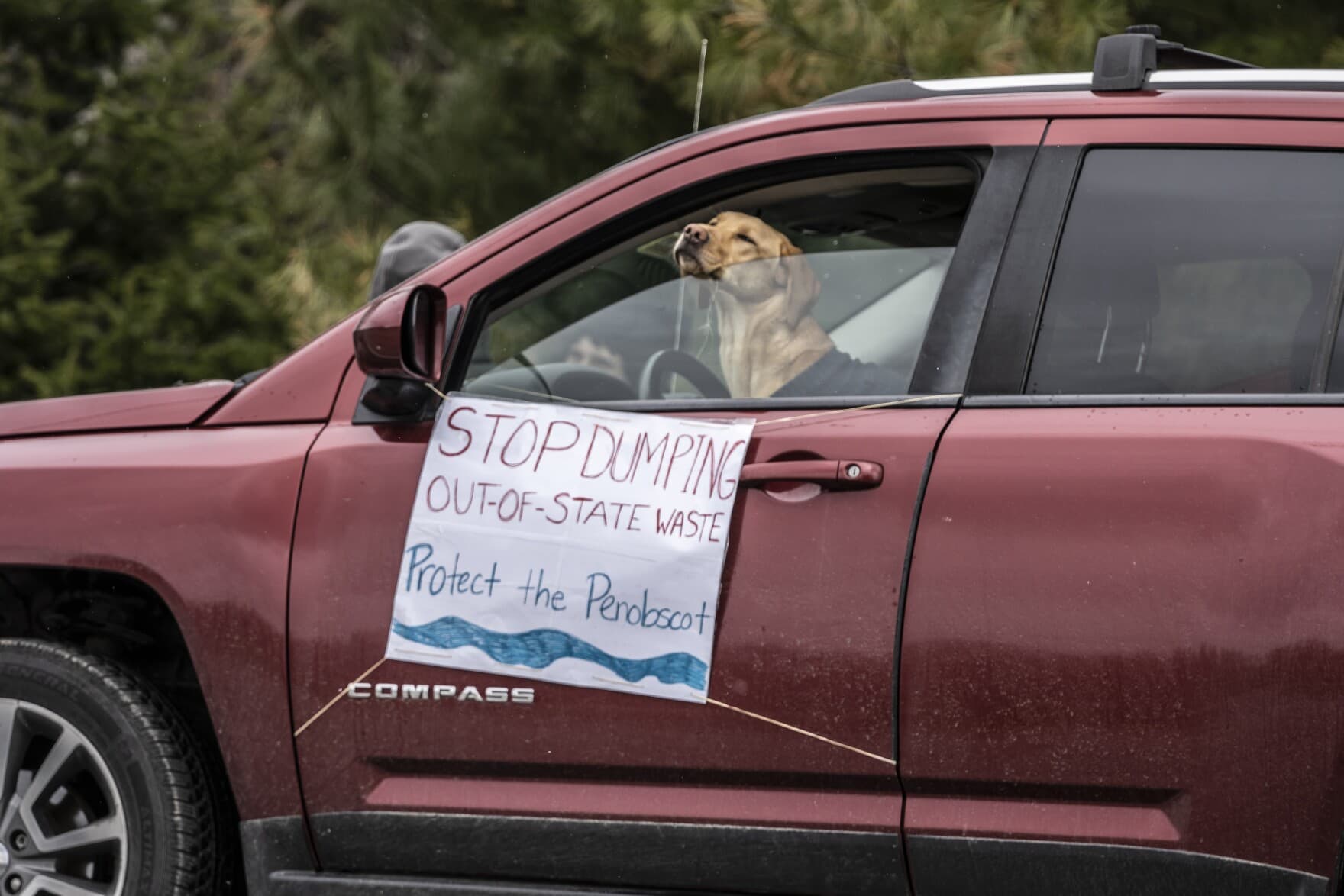 A canine protester outside Juniper Ridge Landfill in Old Town on April 22, 2021. (Nick Woodward/Maine Public)