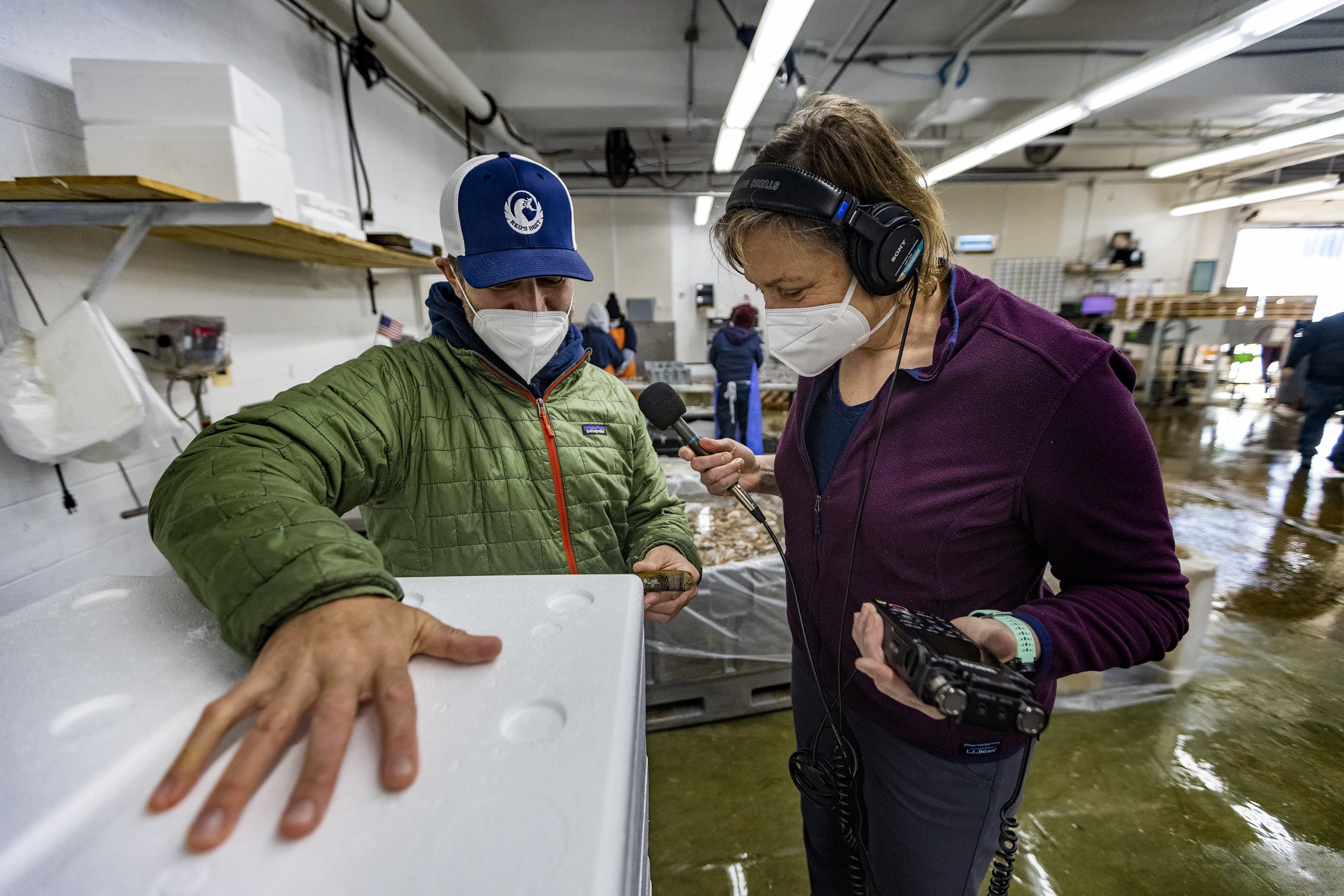 Reporter’s Notebook: WBUR & Tufts researchers collaborate on 'Cooked' newsletter