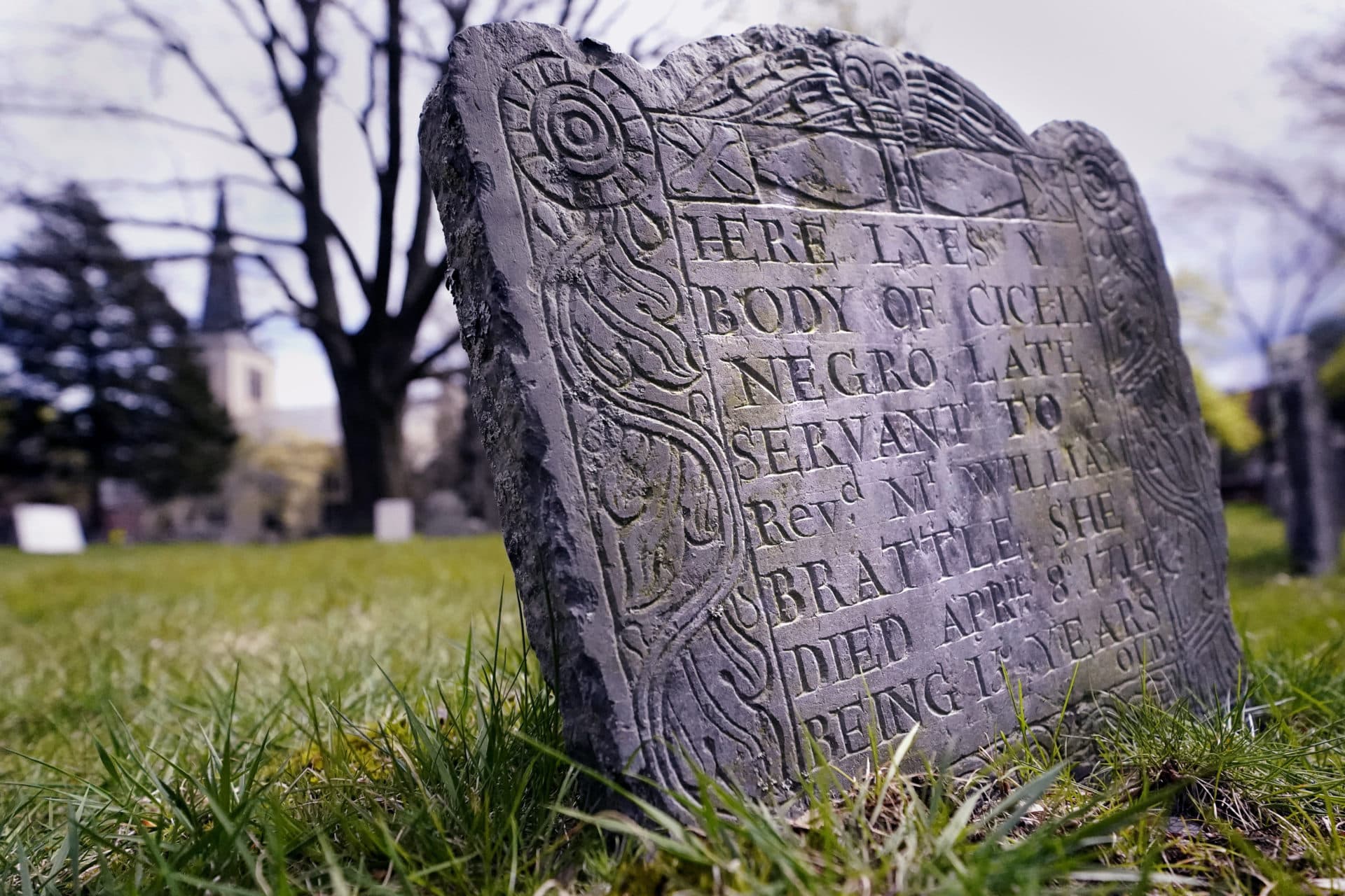 A headstone marks the grave of &quot;Cicely&quot;, a 15-year-old &quot;Negro Servant&quot; of Rev. William Brattle, a treasurer at Harvard College, at the Old Burying Ground just outside Harvard Yard, April 27, 2022, in Cambridge, Mass. (Charles Krupa/AP)