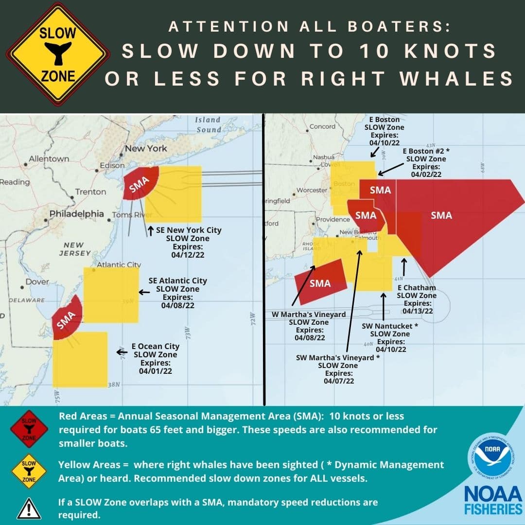 A map showing the areas off the eastern seaboard with different designations for right whale whale protections. The yellow shaded areas are the Slow Zones. (Courtesy National Oceanic and Atmospheric Administration)
