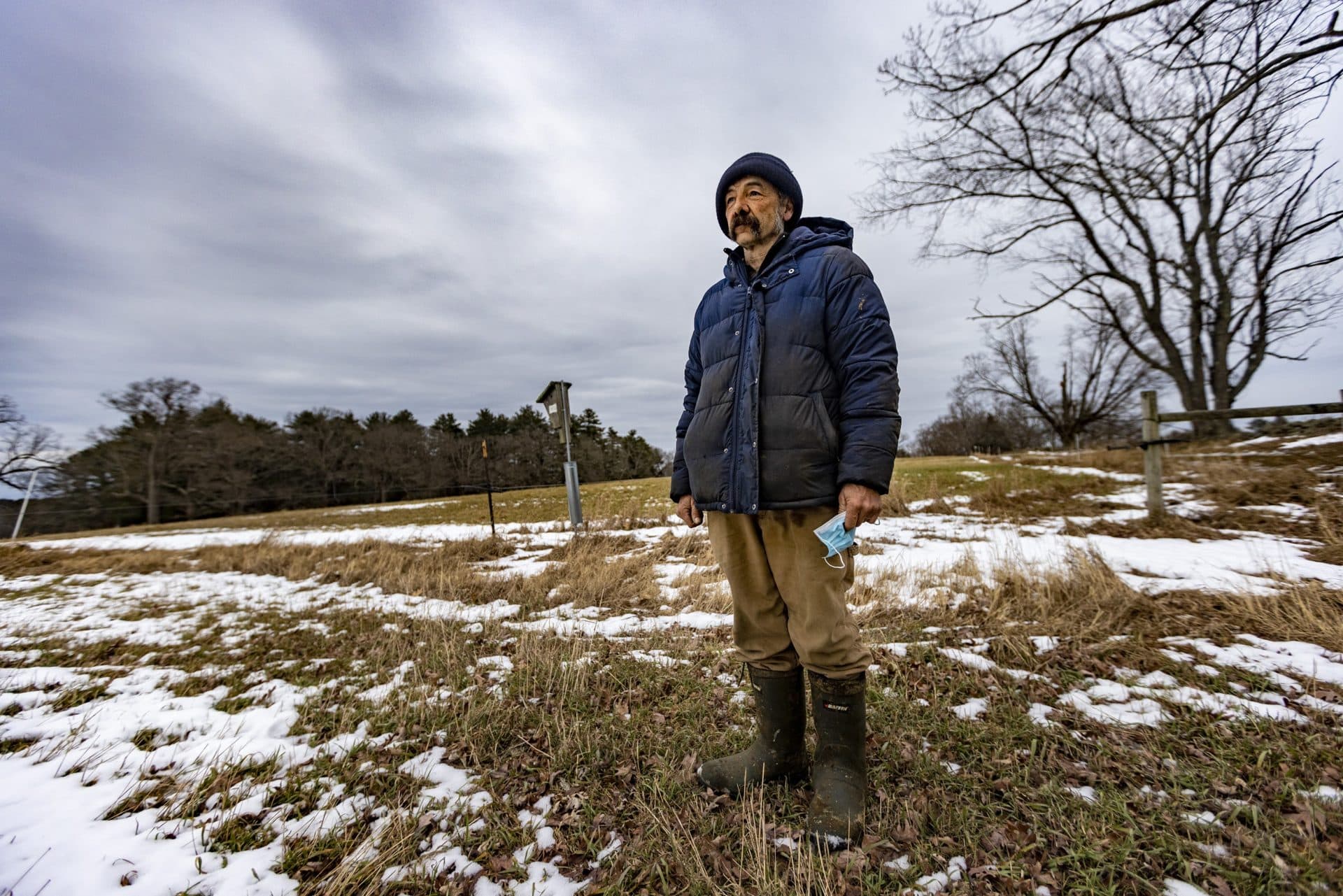 Aaron Knight looks out into the empty grazing fields at Appleton Farms in Ipswich. (Jesse Costa/WBUR)