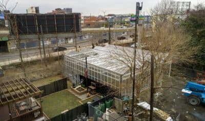 A climate-friendly greenhouse goes up in East Boston
