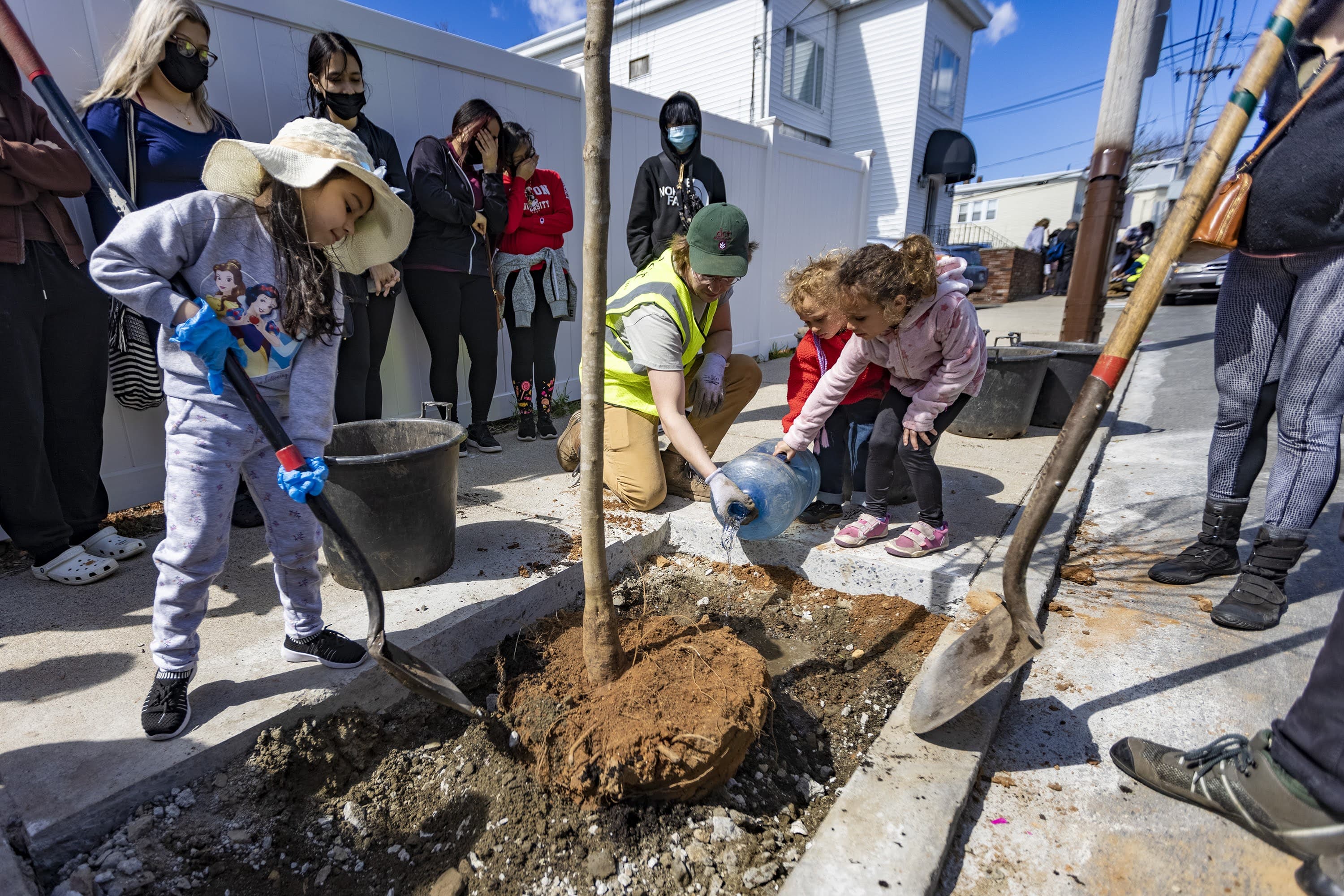 Five-year-old Julia Martinez shovels dirt, as state worker Jake Hennessey assists Malikai DeTar-Kock, 2, and Sonorus Salem, 4, water the root ball of a tree they just set into the ground. (Jesse Costa/WBUR)