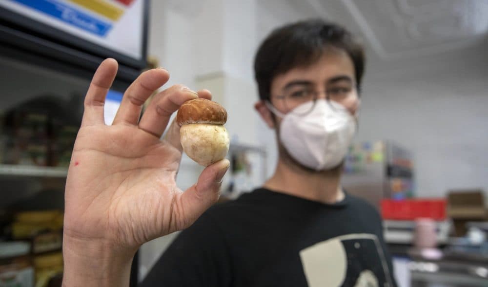 Tyler Akabane holds up a porcini mushroom at the Mushroom Shop, which he owns. (Robin Lubbock/WBUR)