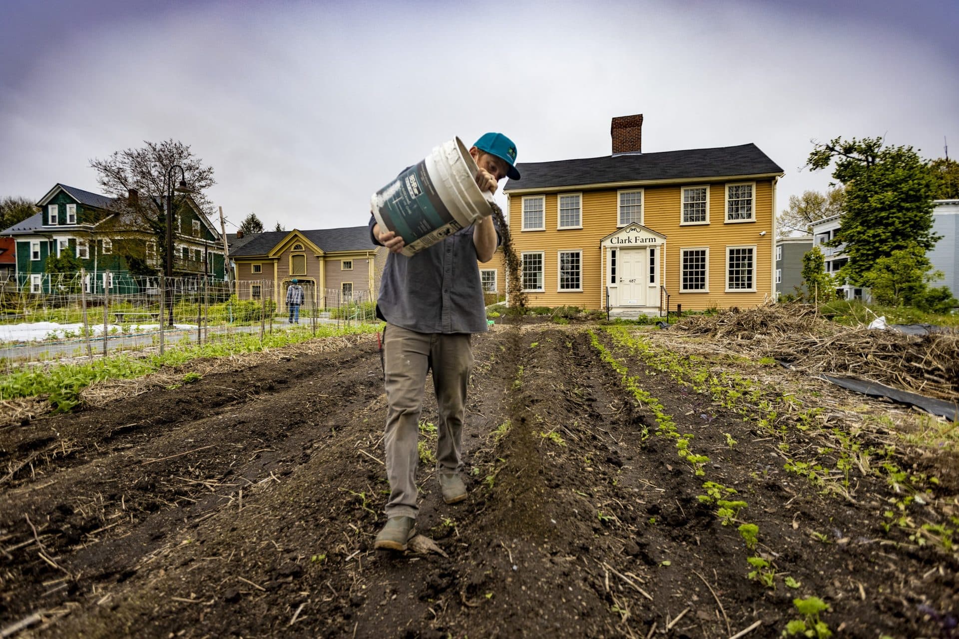 Tristram Keefe lays down a mix of compost and fertilizer on a cucumber bed at Fowler Clark Epstein Farm. (Jesse Costa/WBUR)