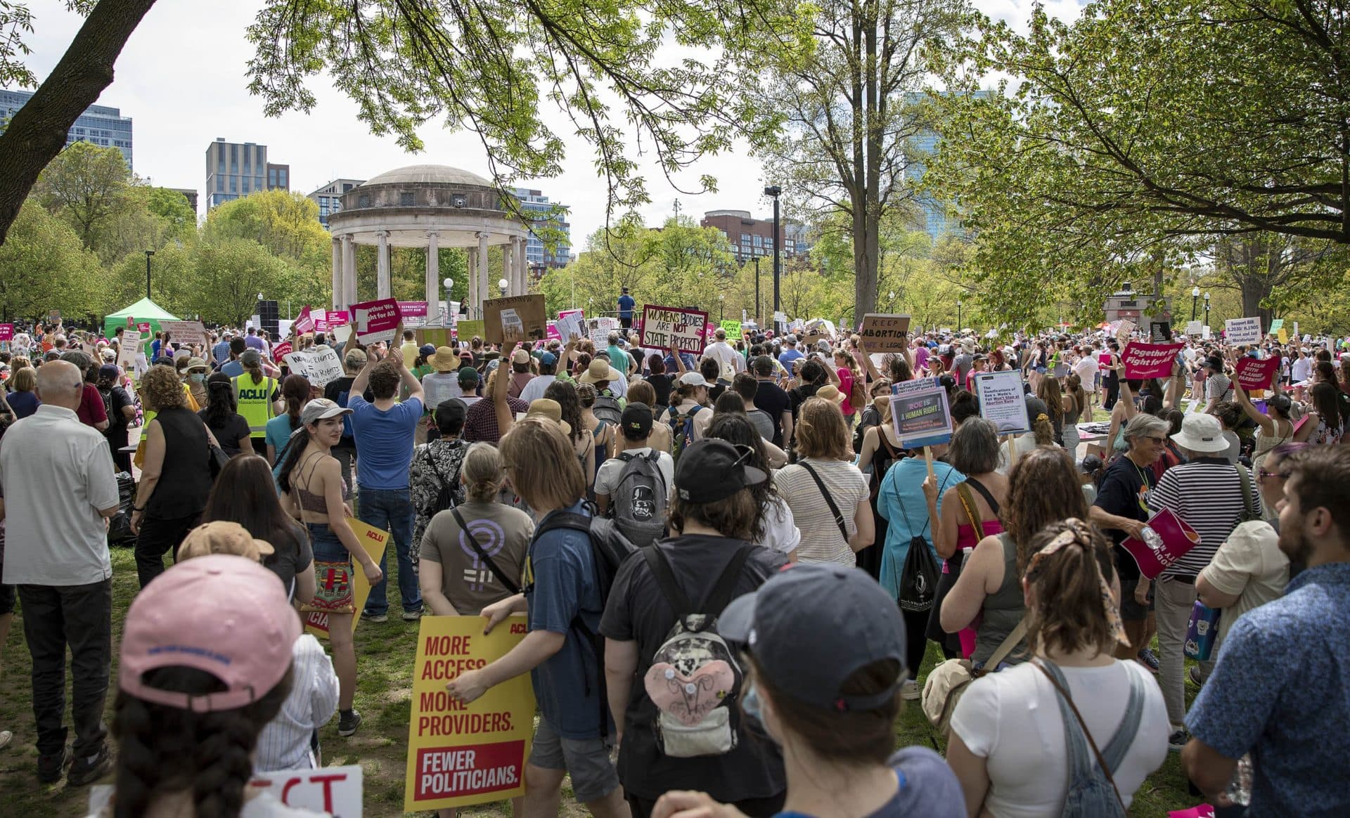 Protesters stand in shade of trees near the bandstand at the Bans Off Our Bodies rally on Boston Common. (Robin Lubbock/WBUR)