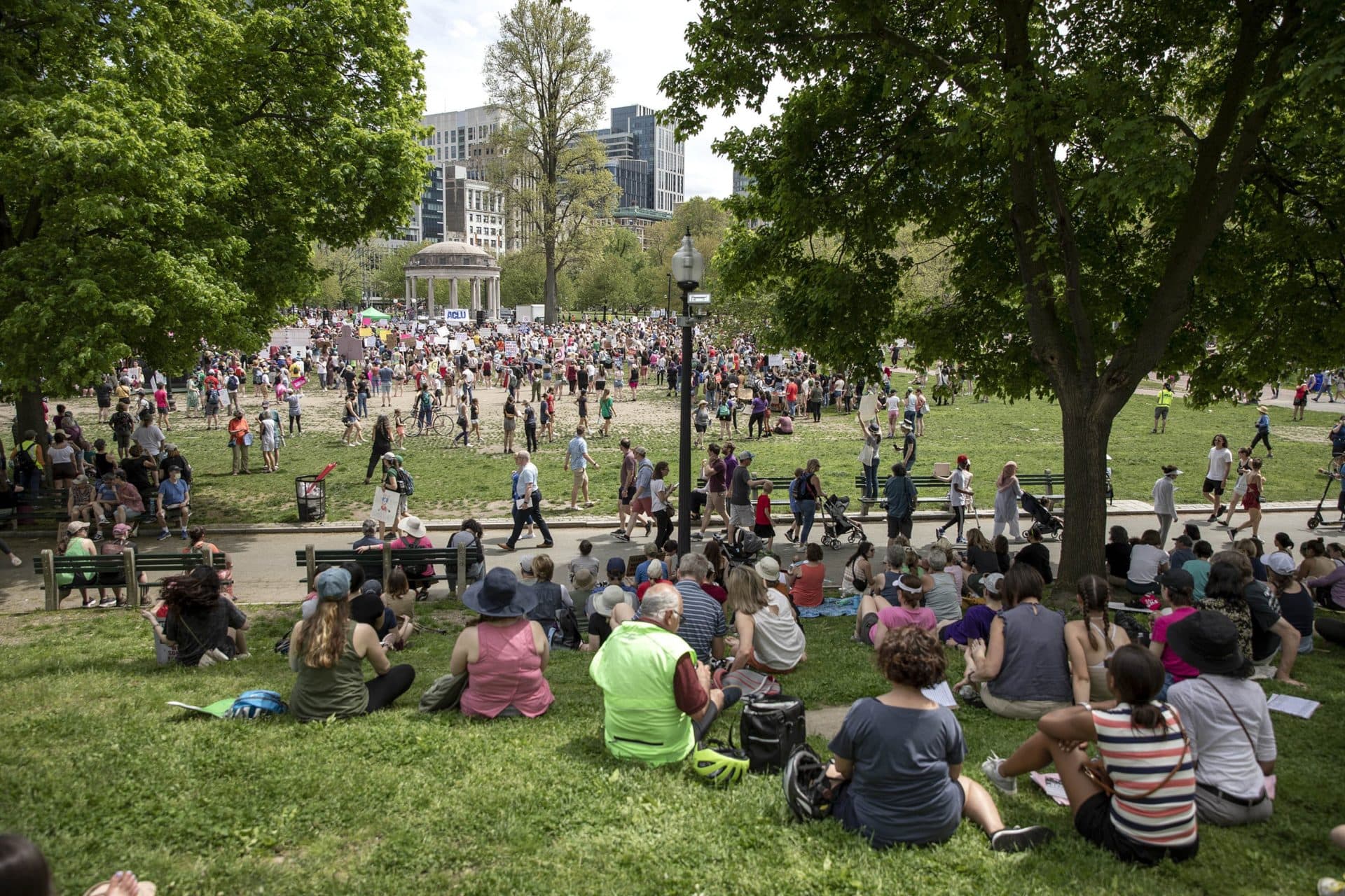 Protesters sit in shade of trees around the bandstand at the Bans Off Our Bodies rally on Boston Common. (Robin Lubbock/WBUR)
