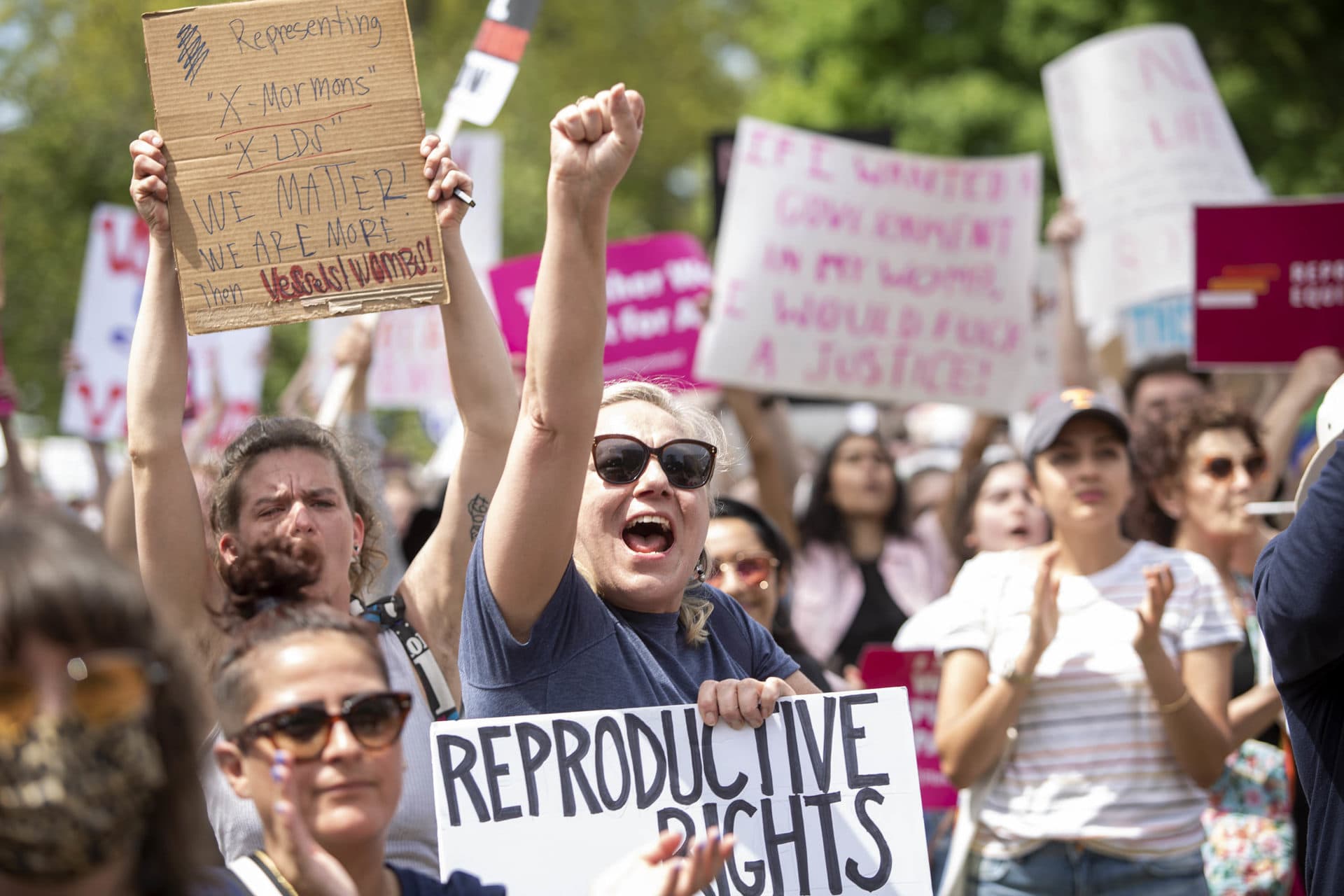 Protesters cheer a speaker at the Bans Off Our Bodies rally on Boston Common. (Robin Lubbock/WBUR)