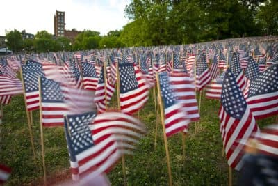 Photos: Thousands of American flags fly on Boston Common for Memorial Day