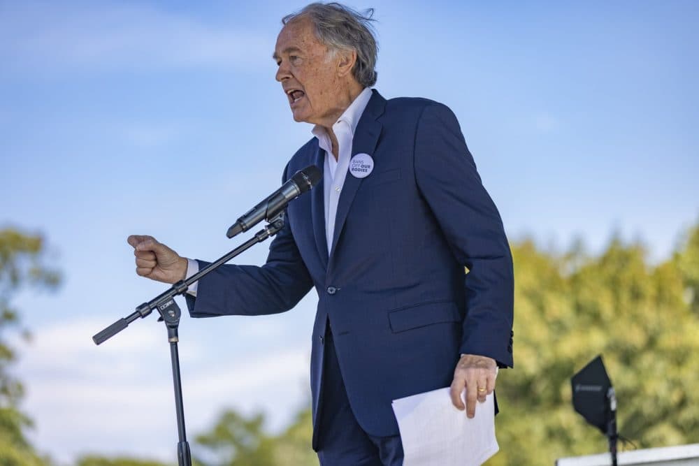 U.S. Senator for Mass. Edward Markey spoke at the Boston Rally to Defend Abortion at the Franklin Park Playstead in 2021. (Jesse Costa/WBUR)