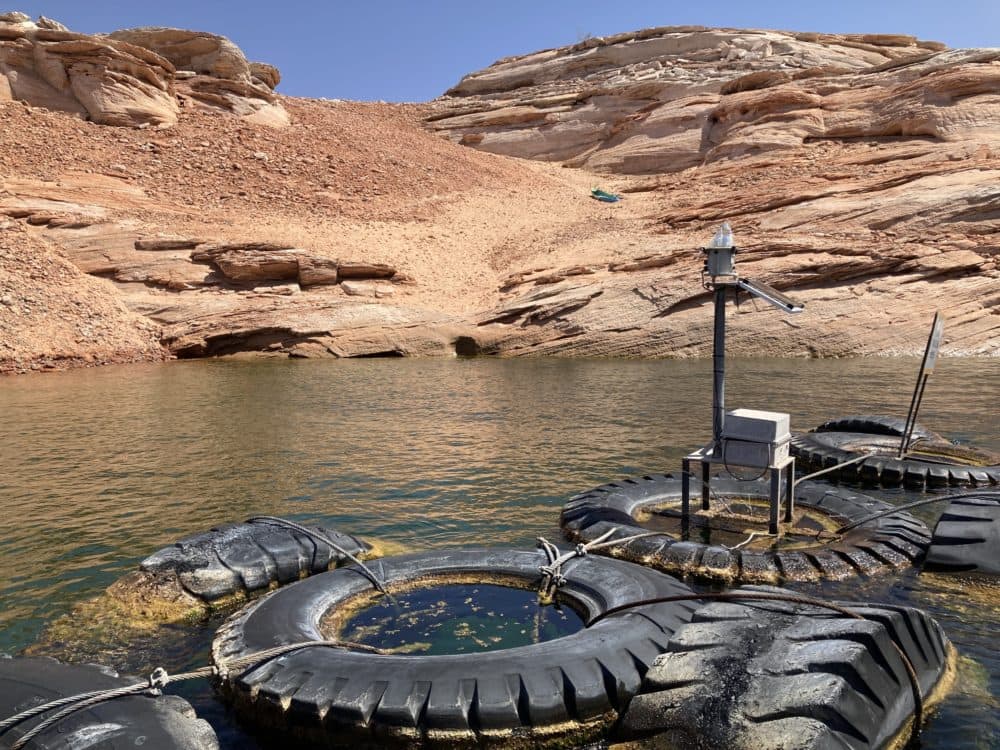 This hillside at a Lake Powell boat launch used to be under water. Now kayakers have to drag their boats to the water. (Peter O'Dowd/Here &amp; Now)