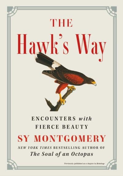 &quot;The Hawk's Way&quot; by Sy Montgomery. (Courtesy)