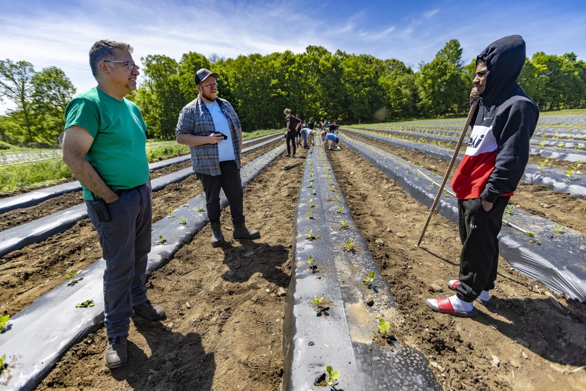 Wayne McAuliffe, manager of volunteer programs, and Dave Johnson, farm manager, speak with South High Community School student Alex Lanzo during a break from planting. (Jesse Costa/WBUR)