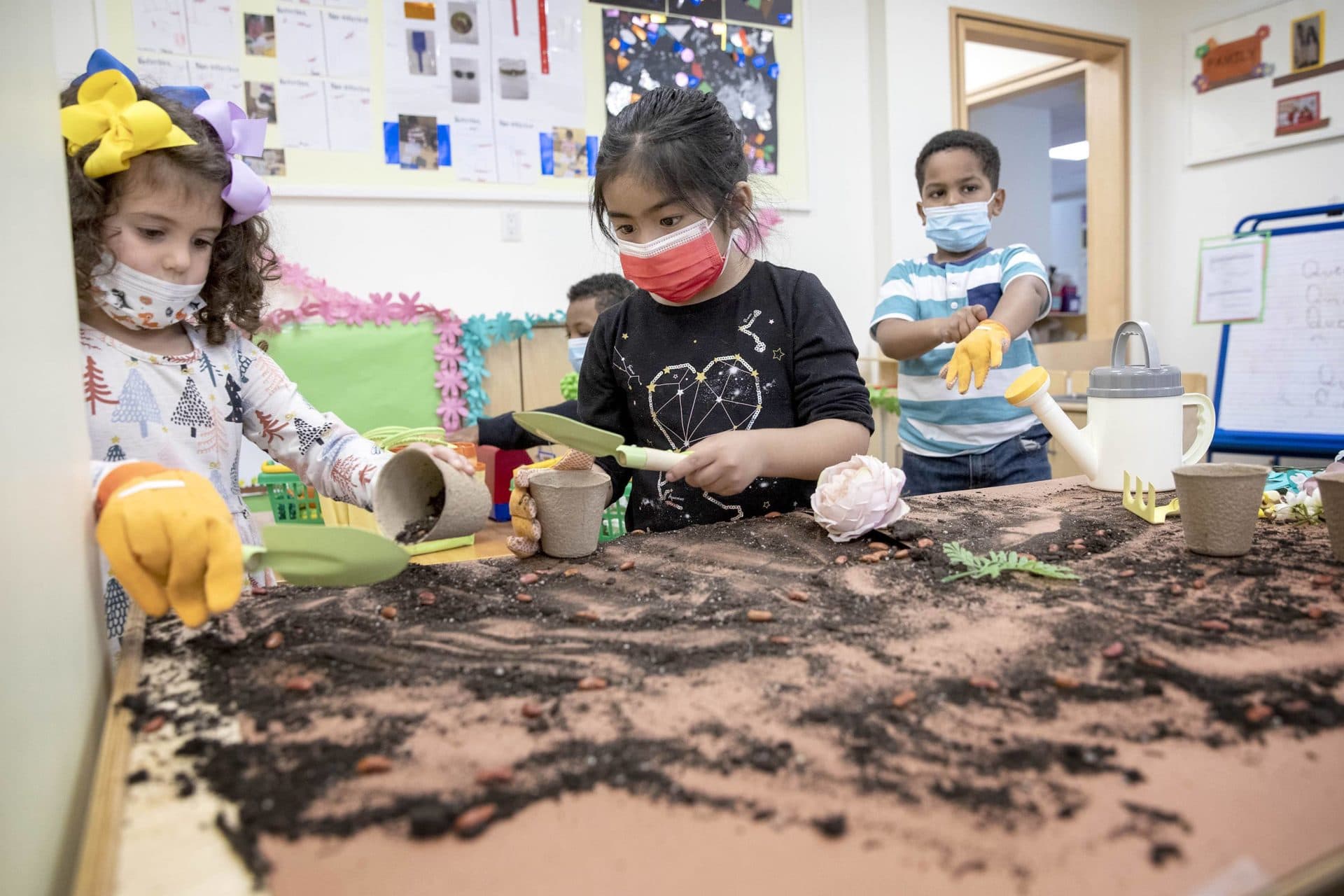 Children learn how to plant beans in a classroom at Ellis Early Learning in Boston. (Robin Lubbock/WBUR)