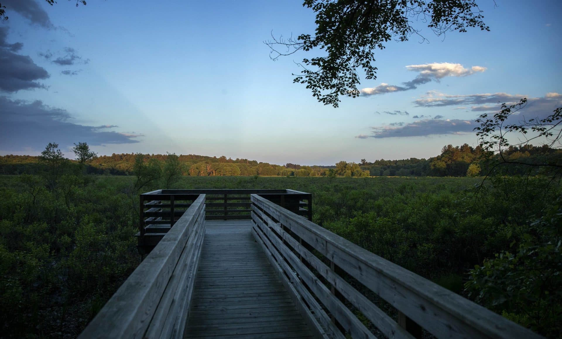 On a summer evening, clouds drift across Great Meadows in Sudbury, Mass. (Robin Lubbock/WBUR)