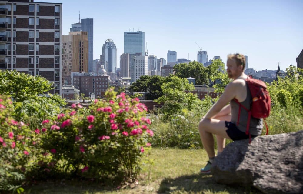 Miles Howard stops to enjoy the view of Boston from Kevin W. Fitzgerald Park. (Robin Lubbock/WBUR)