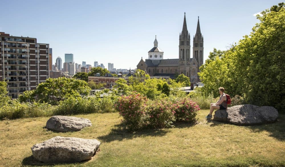 Miles Howard stops to enjoy the view of Boston from Kevin W. Fitzgerald Park. (Robin Lubbock/WBUR)