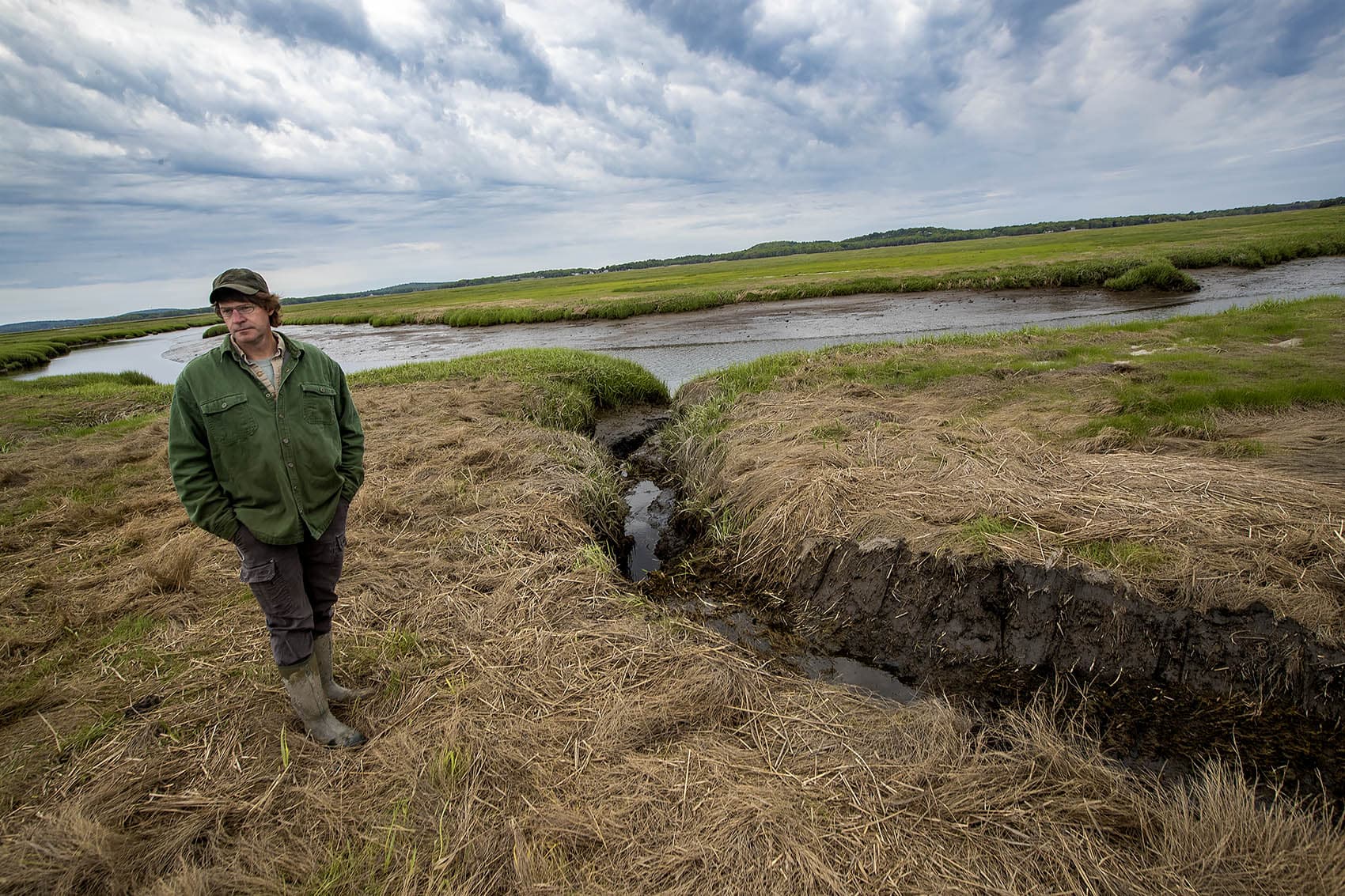 Contractor Geoff Wilson of Northeast Wetland Restoration examines the progress of work he had done in two days before in the Parker River National Wildlife Refuge. (Jesse Costa/WBUR)