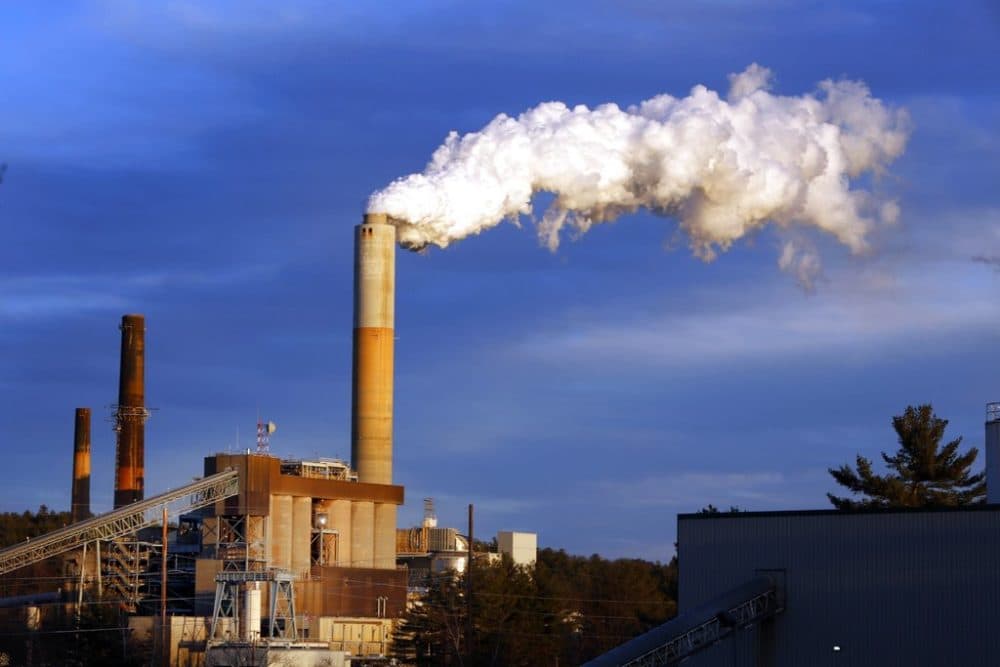 A plume of steam billows from the coal-fired Merrimack Station in Bow, N.H. (AP Photo/Jim Cole, File)