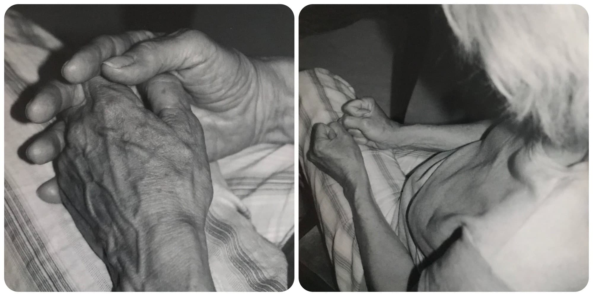 Olympia Dukakis's hands, as photographed by the author. (Courtesy Anne Gardner)