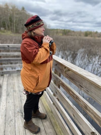 Joan Walsh, chair of field ornithology and natural history at Mass Audubon. (Walter Wuthmann/WBUR)