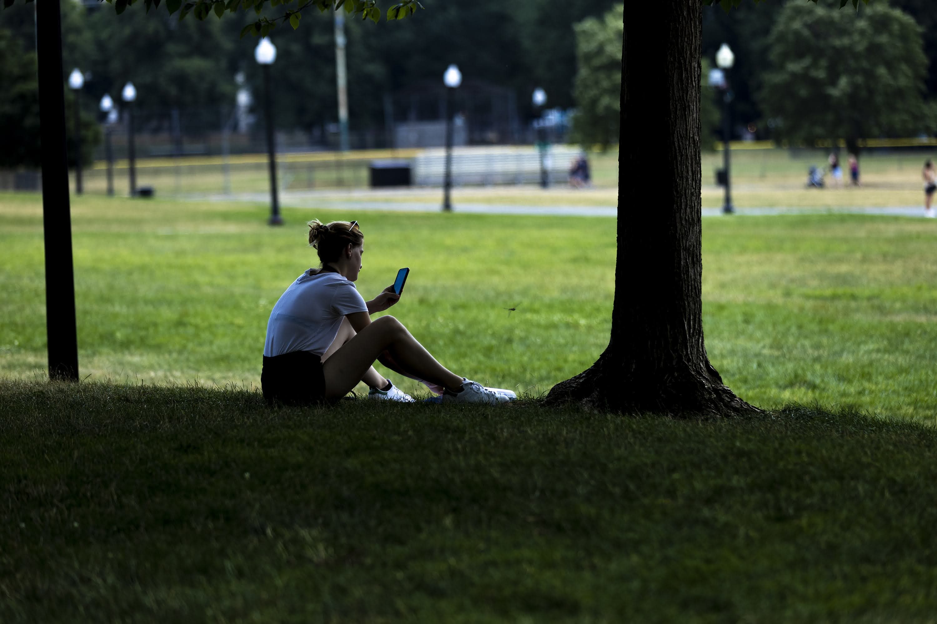 A woman sits in the shade of a tree while she looks at her smartphone in the Boston Common. (Jesse Costa/WBUR)