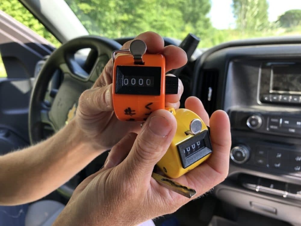 Researchers use clickers to keep track of how many bats are emerging from roost sites each evening. (Jane Lindholm/Vermont Public)
