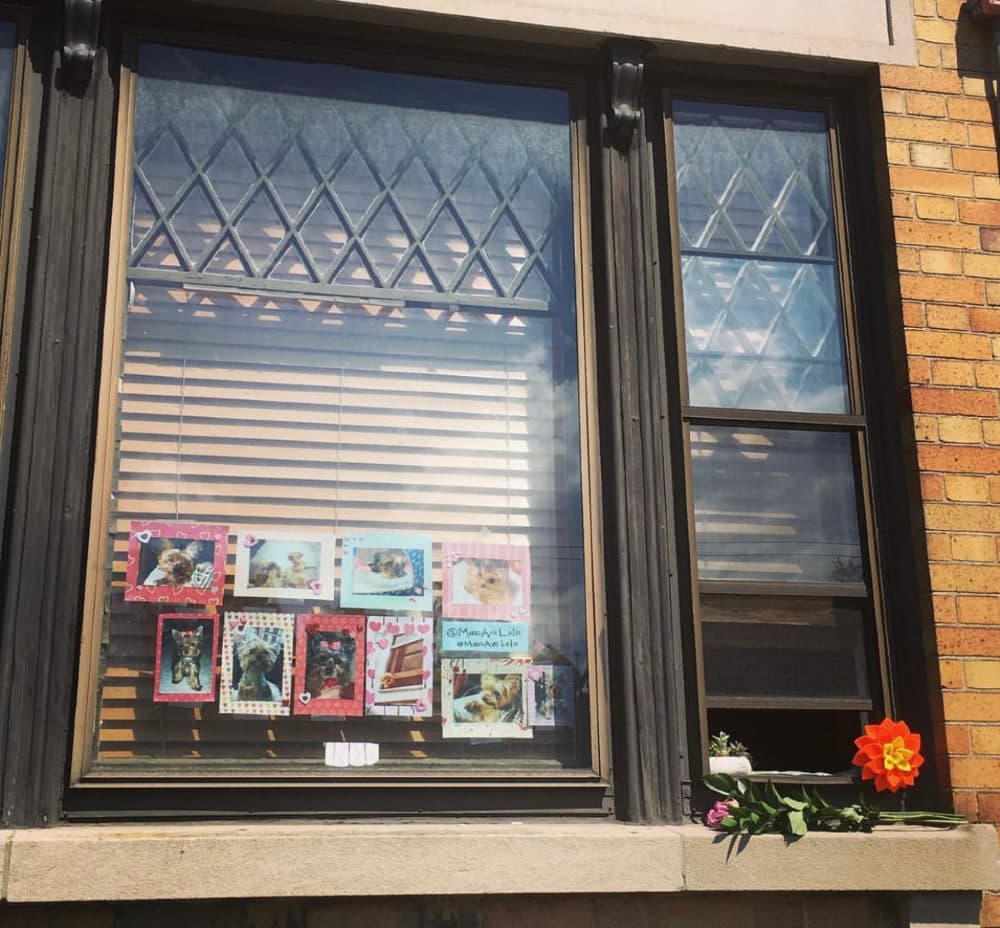 Mass Ave Lola's window, June 2019, Cambridge, MA. (Courtesy E.B. Bartels)