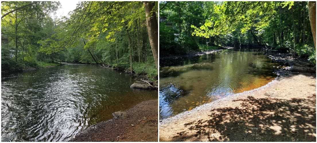 Two photos taken at the Assabet River in Acton one month apart. On the left is a photo from June 12, and on the right is a photo from July 11. (Courtesy Ben Wetherill/Mass Rivers Alliance)