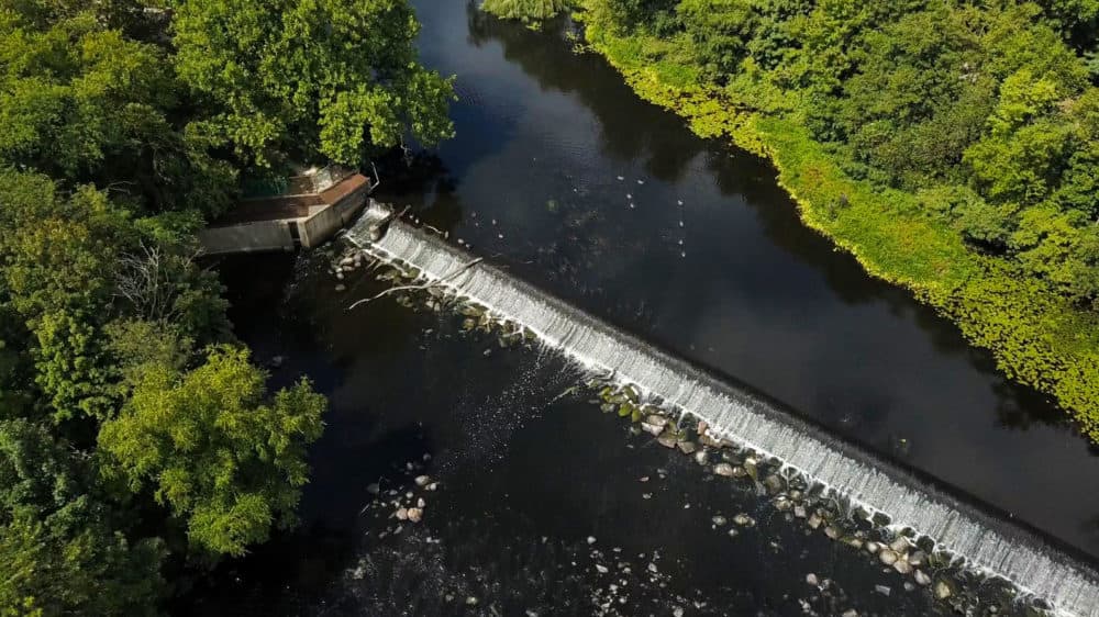 Watertown Dam from overhead. (Sean McNamara/Charles River Watershed Association)