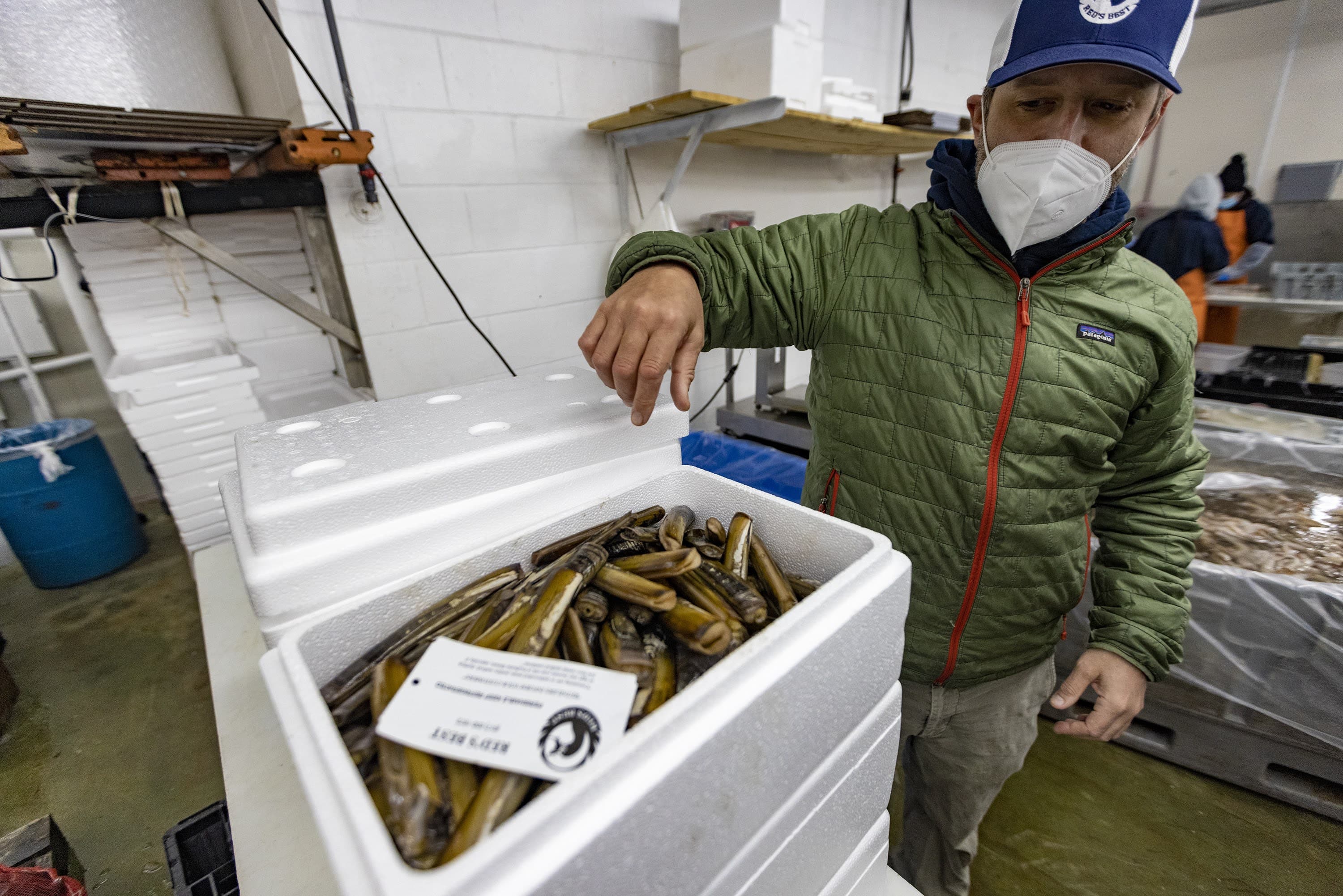 Jared Auerbach beckons Barb toward a box of raw razor clams at Red's Best. (Jesse Costa/WBUR)