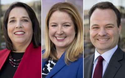 WATCH: Democratic hopefuls in Mass. lieutenant governor primary face off