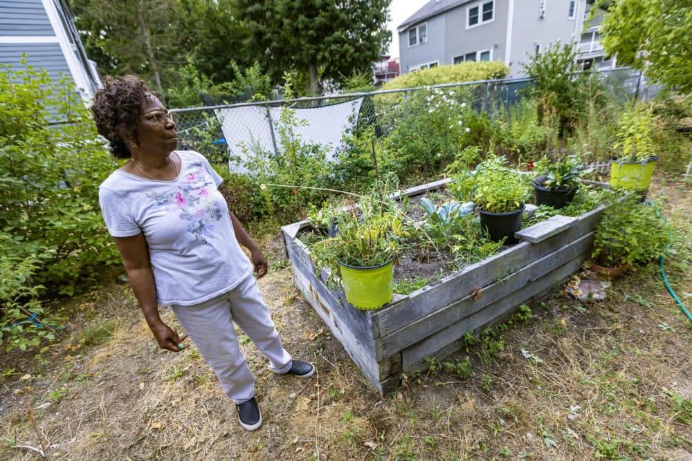 Estella Mabrey looks around her backyard which is full of vegetables and perennial flowers at her home in Dorchester. (Jesse Costa/WBUR)