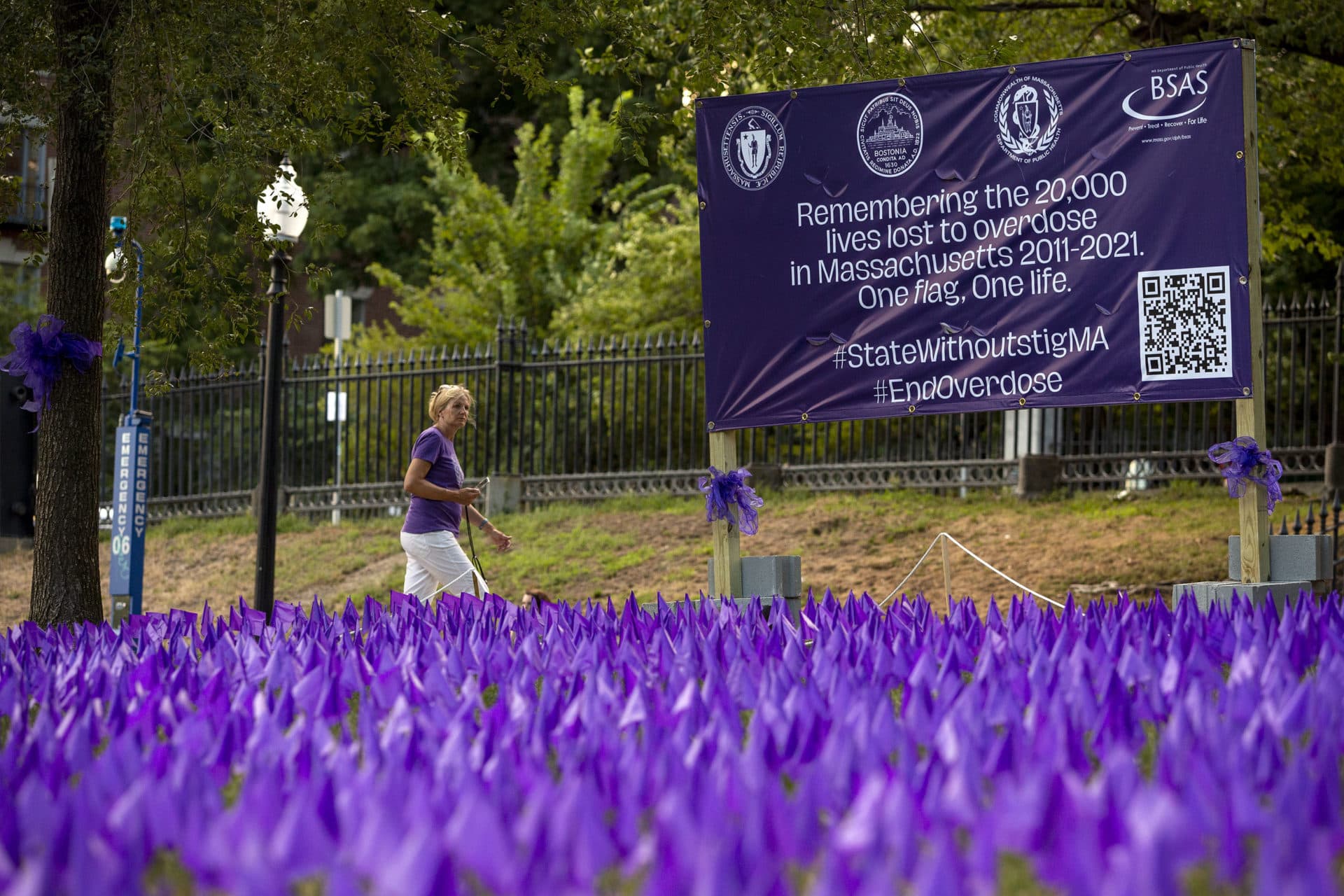 A sign next to the 20,000 purple flags planted on Boston Common explains how each represents one person who died in Massachusetts in the opioid epidemic over the last decade. (Robin Lubbock/WBUR)