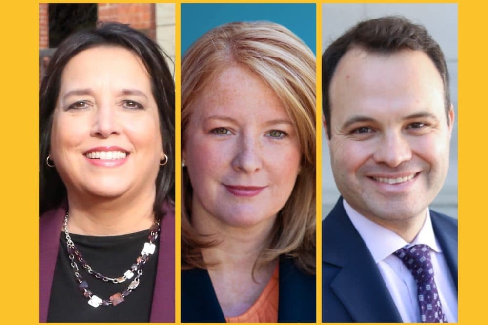 WATCH: Democratic hopefuls in Mass. lieutenant governor primary face off - Vimarsana News
