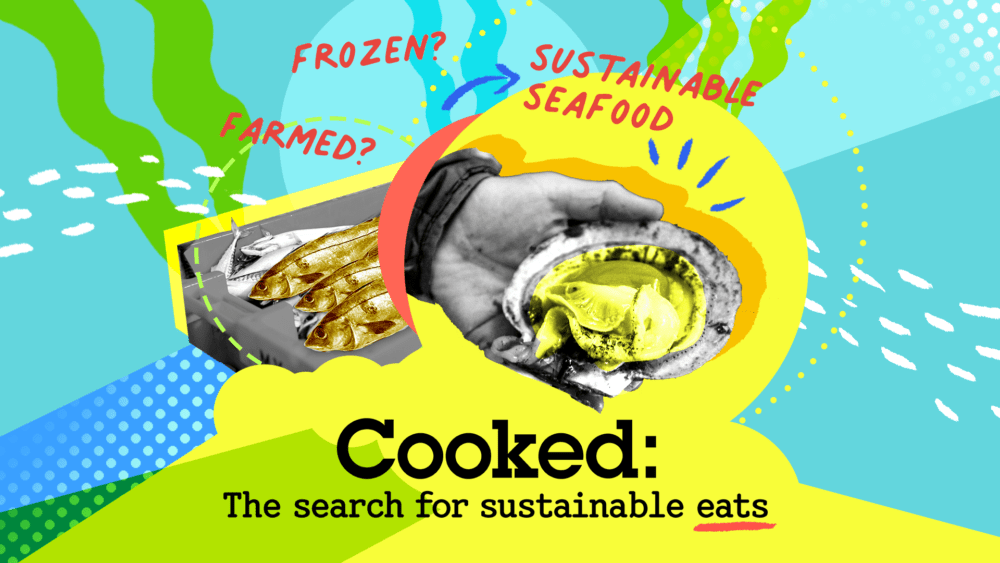 We explore seafood in Cooked, our newsletter on the search for sustainable eats in New England.