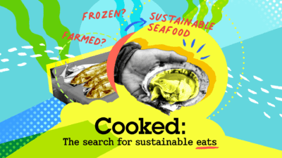 Cooked: What makes seafood sustainable?