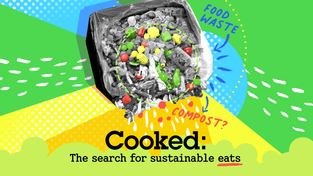 We look into how to reduce food waste in Cooked, our newsletter on the search for sustainable eats in New England.