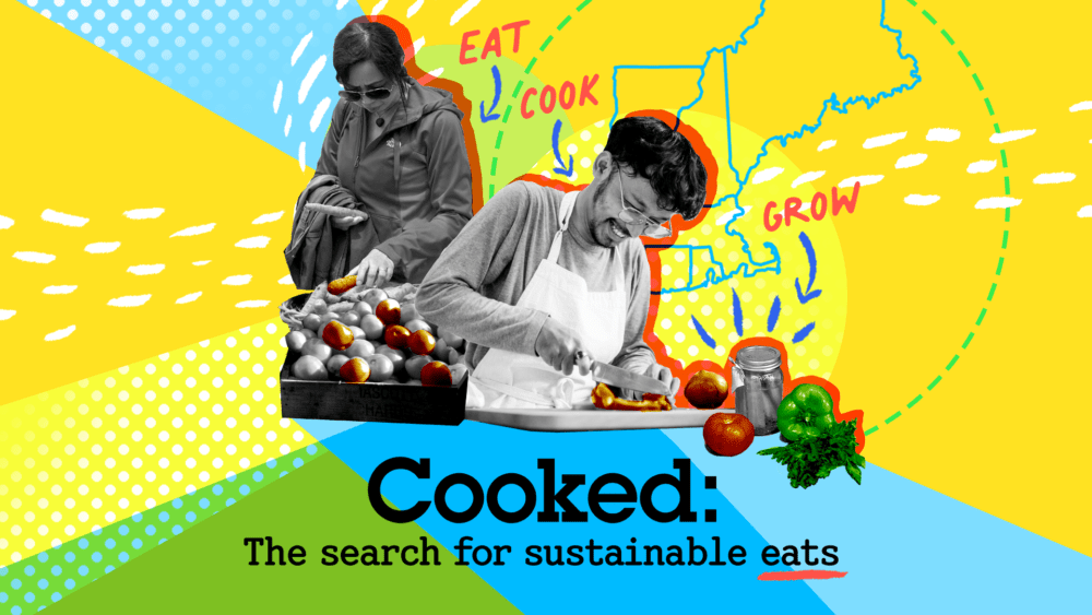 We share a list of links, tips and recipes in Cooked, our newsletter on the search for sustainable eats in New England.